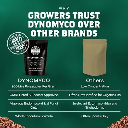 DYNOMYCO Granular Mycorrhizal Fungi Inoculant, 100g / 3.5oz – Boosts Root Growth, Yields & Nutrient Uptake – 900 Propagules/g, Concentrated Granules, & OMRI Listed – Biofertilizer for Plant Growth