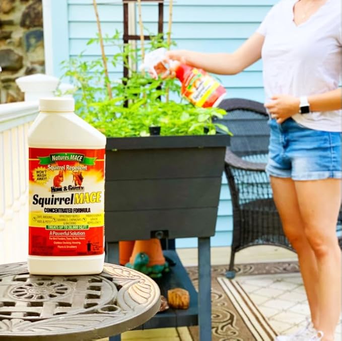 Nature’s MACE Squirrel Mace, Squirrel Repellent Spray, 40 Ounce Concentrate, Squirrel and Chipmunk Repellent, Keep Out of Garden, Attic, Fruit Trees, Plants, Potted Plants, Repel Squirrels