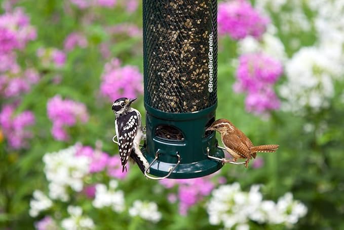 Squirrel Buster Legacy Squirrel-Proof Bird Feeder for Wild Birds – 4 Metal Removable Perches, 2.6 lb Seed Capacity, Chew-Proof Design, Easy to Clean, Green