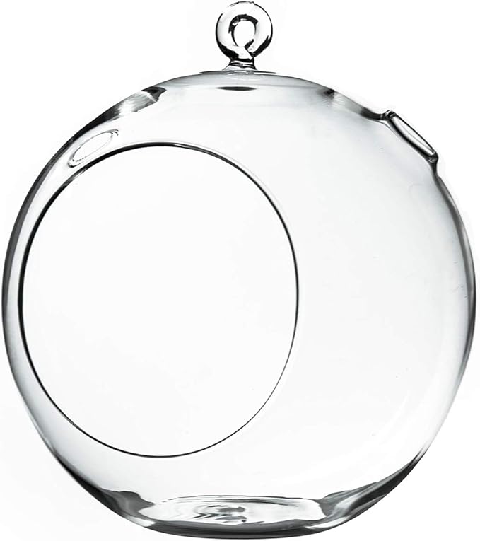 WGV Hanging Terrarium Globe, Width 8", Height 9", DIY Air Succulent Planter, Clear Glass Vase Orb with Flat Bottom, Candle Holder for Windowsill Outdoor Garden Decor, 1 Piece