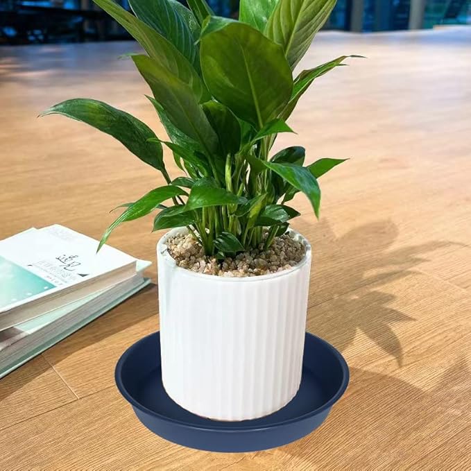 6 Pack Plastic Plant Saucer Planter Water Drip Tray, 4 5 6 7 8 9 10 11 12 inch, Heavy Sturdy Tray for Indoors Outdoor Plants, Flower Pot Saucers for Pots Base (4", Blue)