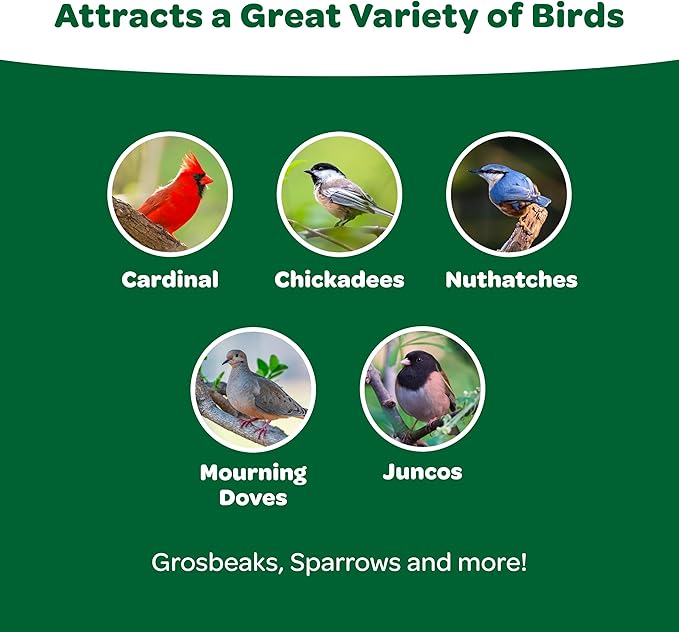 Kaytee Essentials Blend with Black Oil Sunflower, Cracked Corn and Millet, Wild Bird Food Seed for Cardinals, Jays, Finches, Chickadees, Nuthatches, Woodpeckers, Grosbeaks, Juncos, 9.5 Pounds