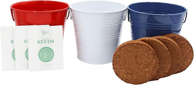 BUZZY Seeds Americana Grow Kit 3-Pack – Red White and Blue Pails with Daisies, Poppies & Forget-Me-Nots – Fun Patriotic Indoor Flower Grow Kit, DIY Gardening Gift Set