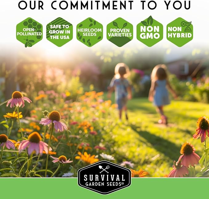 Survival Garden Seeds Tussock Bellflower Seed for Planting - 1 Packet with Instructions to Plant and Grow Campanula carpatica in Your Home Flower Garden - Non-GMO Heirloom