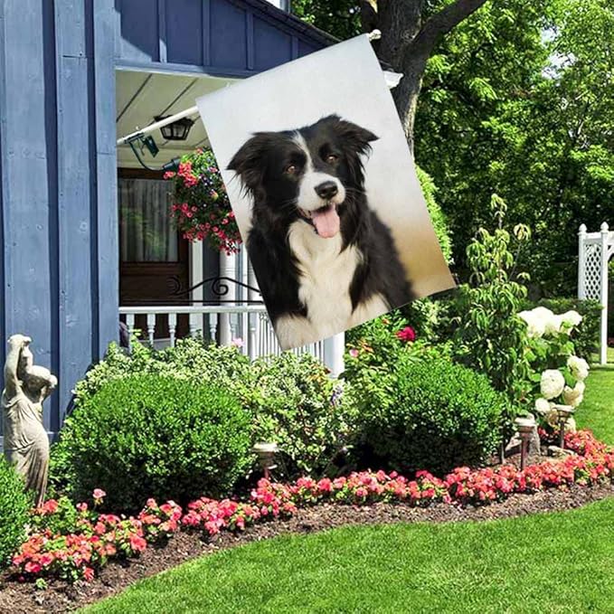 AOYEGO Border Collie Dog House Flags 28 x 40 Double Sided Burlap Dog Pets Puppies Black and White Yard Flags Spring Summer Farmhouse Seasonal Outdoor Flag