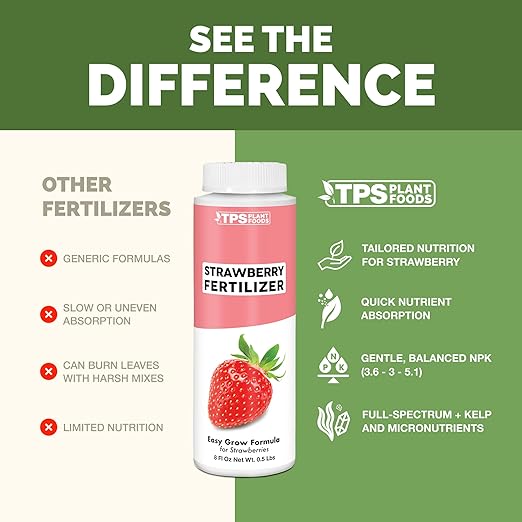 Strawberry Fertilizer – Liquid Plant Food for Better Flowering, Bigger Berries & Stronger Root Runners, 8 oz