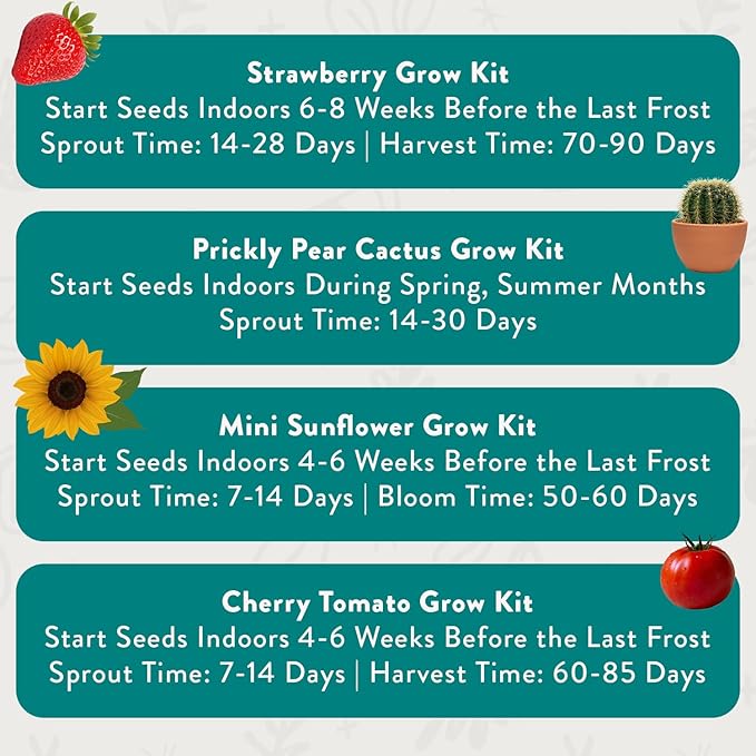 Modern Sprout Complimentary Color Grow Kits (Pack of 4) - Gift for Plant Lovers - Seed Starter Kit - Includes Organic Strawberry Tomato Sunflower & Cactus Seeds - Gardening Gifts that Grows with Love