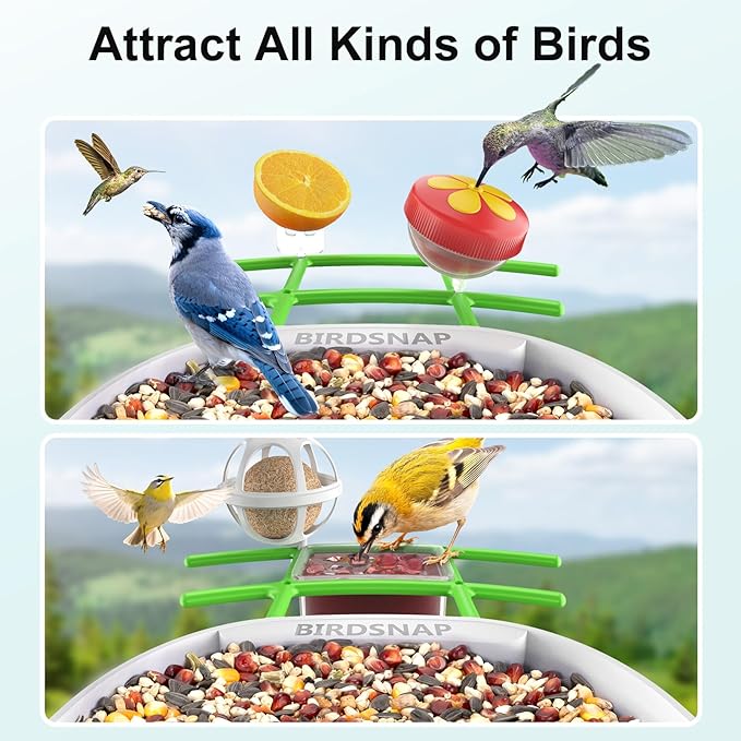 birdsnap® PAV-Bird Feeder with Camera,2K HD with 64GB Card, AI Identify Smart Bird House Cam Solar Panel,Live Stream,Motion Detection,Auto Record Video for Backyard Outdoors,Ideal Gift for Bird Lover