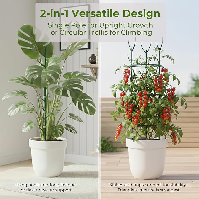 Monstera Plant Support Stakes Indoor - 10 Pack Stackable Garden Trellis for Potted Climbing Pothos Support - Durable All-in-One Tall Plant Sticks Pole for Modern Home Gardening (10 Pack)