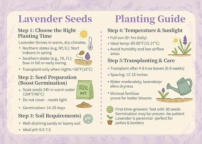 20000+ Lavender Seeds Bulk- Non GMO Premium English Lavender Seeds for Planting Outdoors or Intdoors, 2026 Wildflower Seed Grow Fragrant Gardens, DIY Essential Oils, Perfect for Home Gardeners, Gifts