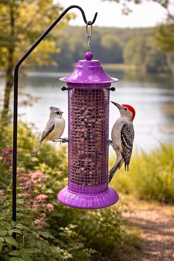 Heath Outdoor Products 21603 Peanut Paradise Feeder