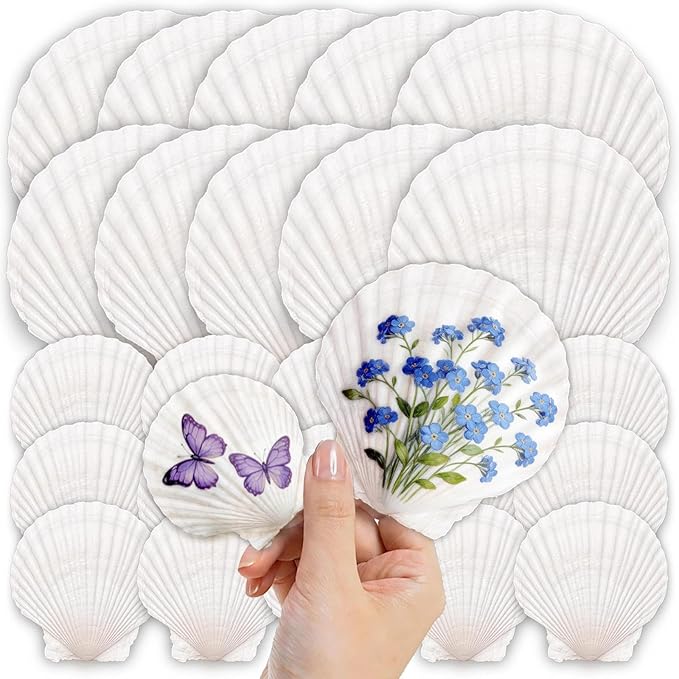 25PCS Large Scallop Shells for Crafts, 10PCS 4-5in & 15PCS 2-3in Natural Sea Shells for Painting, White Seashells Bulk for DIY Crafting, Decorating, Baking, Ocean Themed Party Supplies(2 Sizes Range)