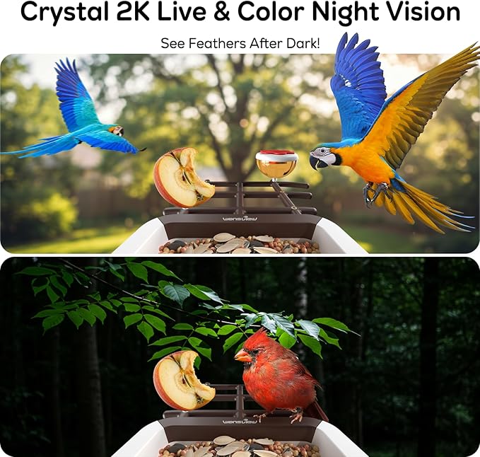 wansview Bird Feeder with Camera-Smart Bird Feeders for Outdoors Solar Powered, Birdhouse with Cam & Alert, 2K Live Video, AI Identify Species, Birdwatching Gift for Father's Day, F1, Brown, 2.4G WiFi