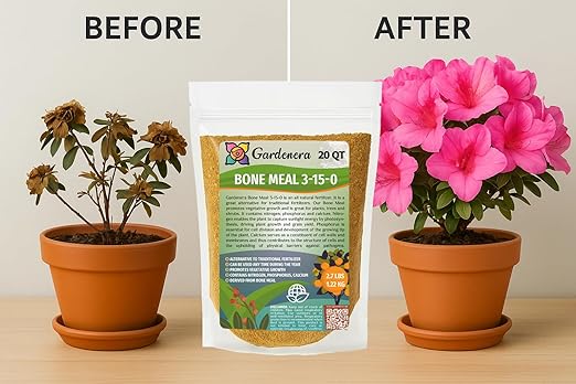 𝐁𝐄𝐒𝐓𝐒𝐄𝐋𝐋𝐄𝐑 Organic Bone Meal Fertilizer by Gardenera (4-12-0 NPK) All-Natural Plant Food Source of Nitrogen and Phosphorus for Bulbs, Gardens, Potted Plants, Trees, and Shrubs [16 OZ]