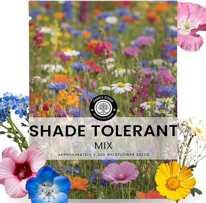 Shade Tolerant Mix – 2,500 Wildflower Seeds for Pollinator Gardens – 2026 Season – 5-Gram Pouch