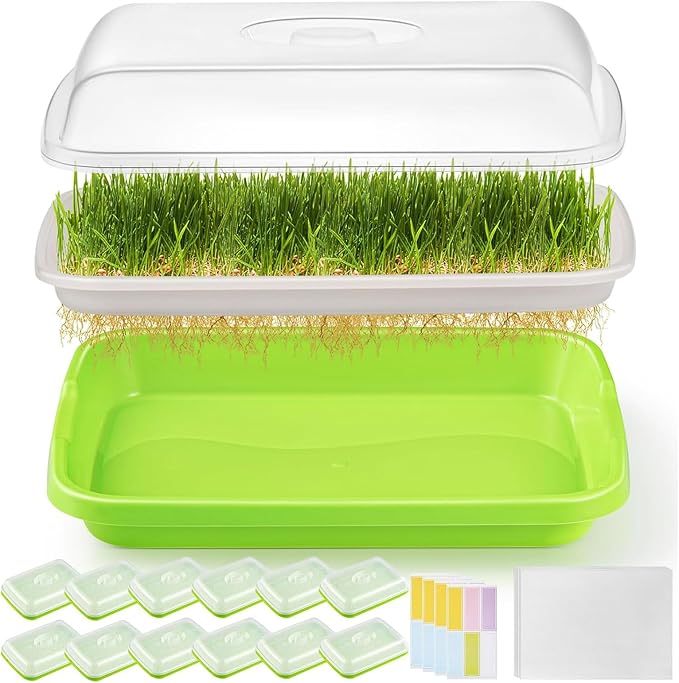 12 Pack Green Seed Sprouter Trays with Lid, Soil-Free Cultivation Germination Tray, Fodder Sprouting Trays Nursery Tray with Planting Paper for Indoors Outdoors