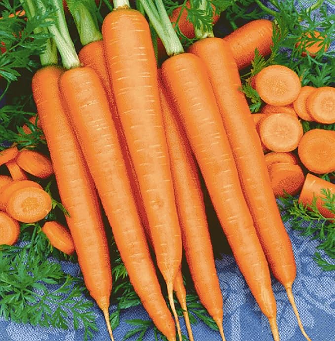 Tendersweet Carrots - A Delicacy - 900 Seeds - Heirloom Carrot