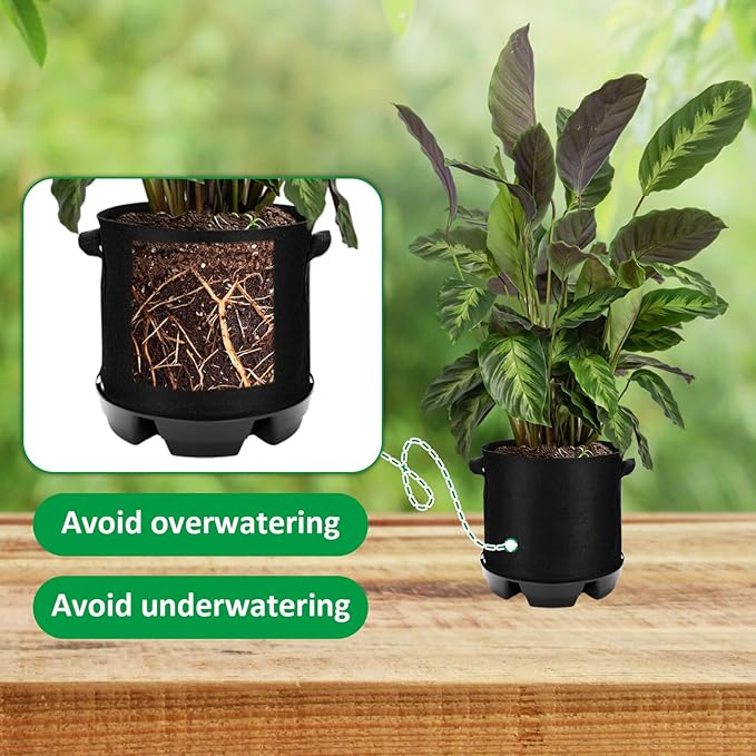 Jingmore 6 Set Self Watering Fabric Pot Base 3 Gallon Plant Nonwoven Grow Bags Automatic Watering System Plant Saucer Elevated Flower Trays with Handles for Fruits Vegetables Flowers Grow(Black)