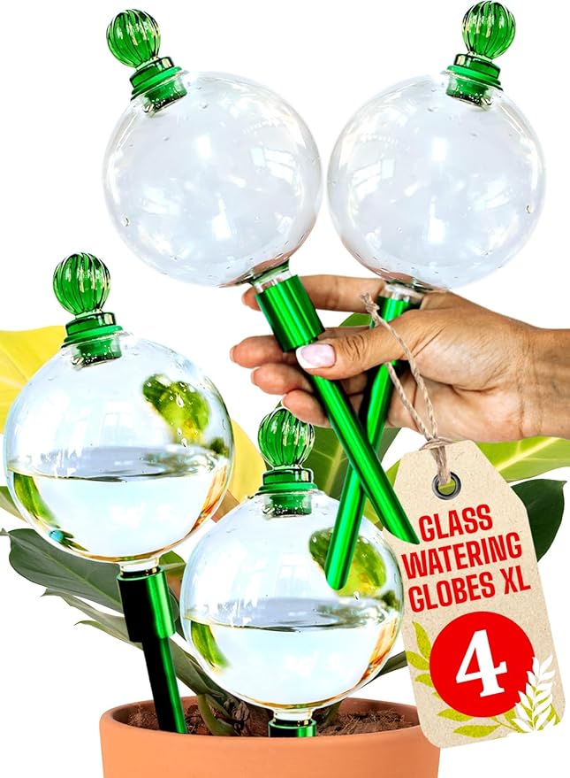 4pcs 16 Oz Plant Watering Globes for Indoor Plants with Metal Self Watering Planter Insert - Premium XL Glass Hand-Blown Globes - Automatic Plant Waterer Indoor, Gift Idea for Gardeners [4, Clear]