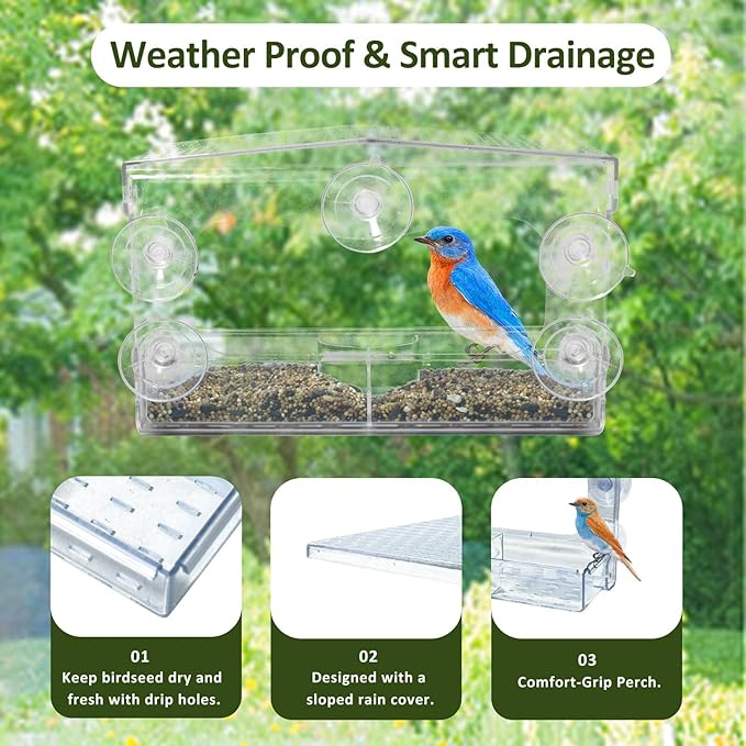 Clear Window Bird Feeder with 5 Extra Strong Suction Cups, Acrylic Wildlife Seed Feeder， as an Outdoor Transparent Bird Watching Gift, Easy-to-Clean, Garden Decor，Middle Size