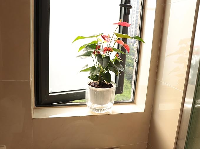Cornasee 6.5" Plastic Hanging Planter, 3-Pack Self Watering Pots for Indoor Plants,Herbs,Succulent,African Violets (Gray+Green+Clear)