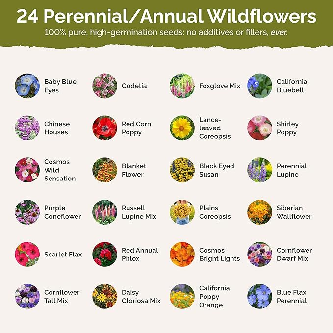 Eden Brothers Oregon Wildflower Mixed Seeds for Planting, 1 lb, 480,000+ Seeds with Bluebell, Cornflower | Attracts Pollinators, Plant in Spring or Fall, Zones