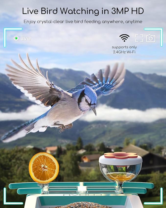 COOAU 2K Smart Bird Feeder with Camera, Faster Solar Powered Charging, Outdoor Birdhouse Cam with Precise AI Birds Recognition, Live Video Watching and Notifications, Ideal Gift for Bird Lovers, Blue