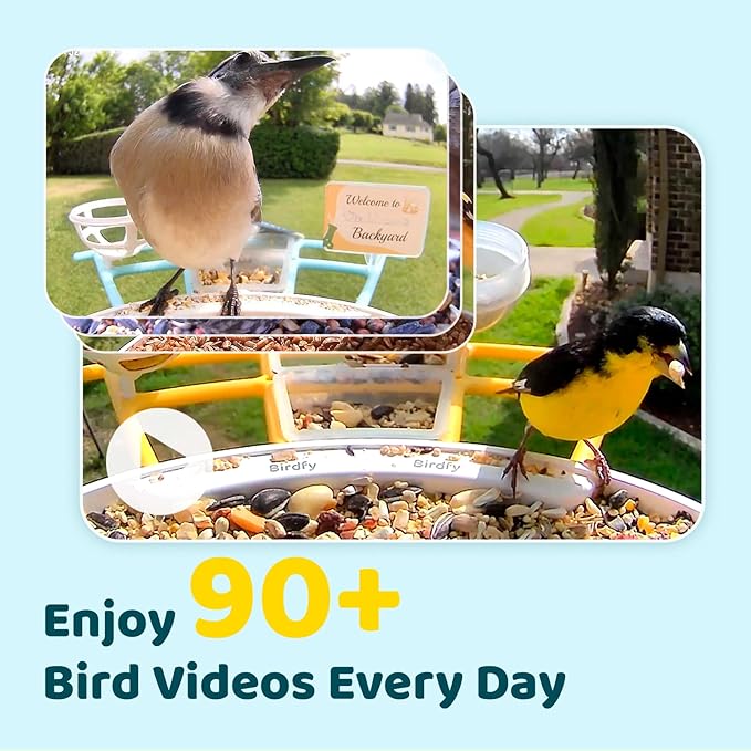 NETVUE by Birdfy Pro Smart Bird Feeder with Camera Solar Panel, Instant Arrival Alerts, Live Stream & Night Vision for Outdoors & Backyard Hummingbird, Cardinalis & Oriole Watching, Ideal Gifts,Yellow