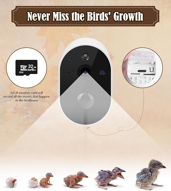 Bird House with Camera, 1080p HD Bird Houses for Outside with Nest Auto Capture Photo & Video, Smart Bird House with Camera Solar Powered 2.4G WiFi & App Notify in Real Time Dark Color (Dark, Normal)