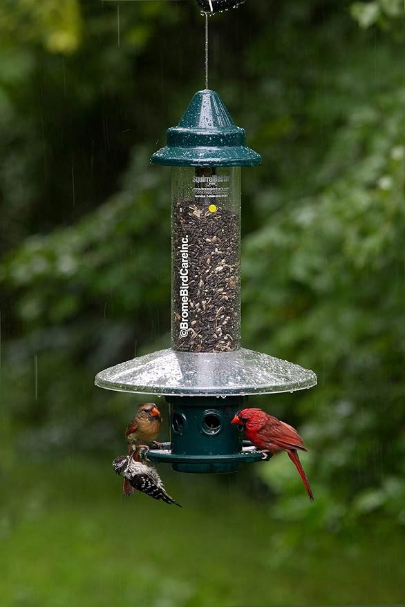 Weather Guard for Squirrel Buster Plus Bird Feeder (FEEDER NOT INCLUDED)