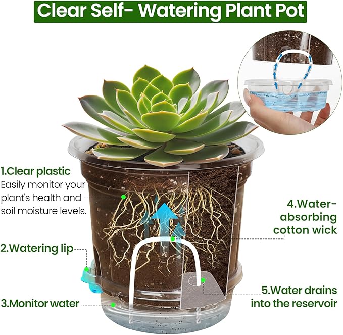 Bluepro 12 Pack 6.5 Inch Clear Self Watering Plant Pots with Bottom Water Tray & Watering Rope, Transparent Nursery Pots with Drainage for Seedlings, Herbs, and Houseplants