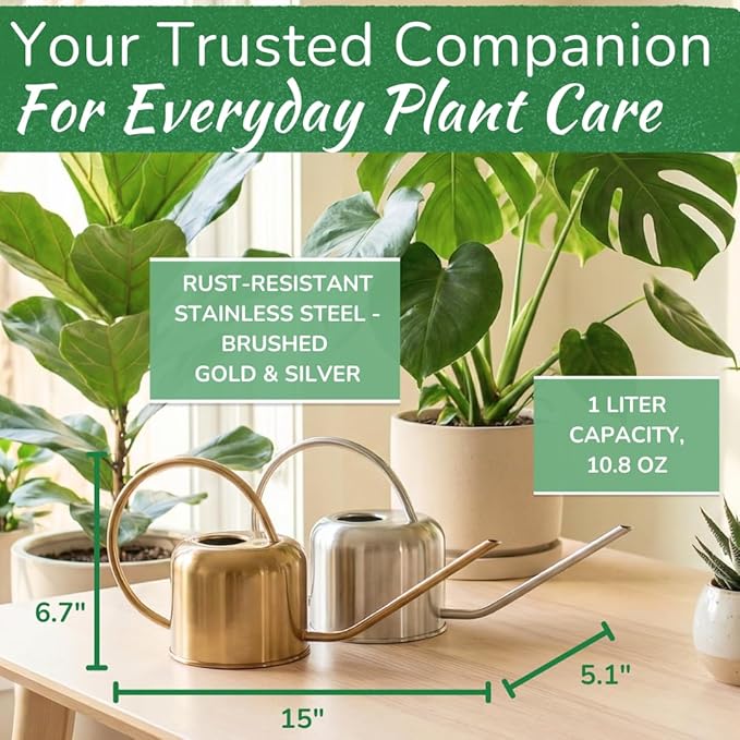 Stainless Steel Watering Can for Houseplants by Houseplant Resource Center | 1L Capacity for Indoor/Outdoor Plants in Brushed Gold