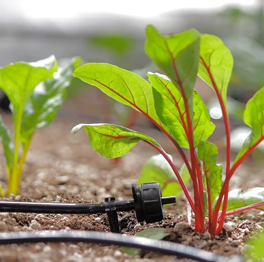 AEO Solar-Powered Automatic Watering Drip Irrigation System, 50 Drippers, 155 ft for Balcony Greenhouse Raised Garden Bed