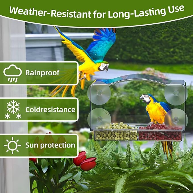 Window Bird Feeder with Strong Suction Cups - Clear Acrylic Bird Feeders for Outdoor Use, Easy-to-Clean Viewing Box for Cats and Birdwatching, Large Capacity, Curved Design for All-Weather Durability