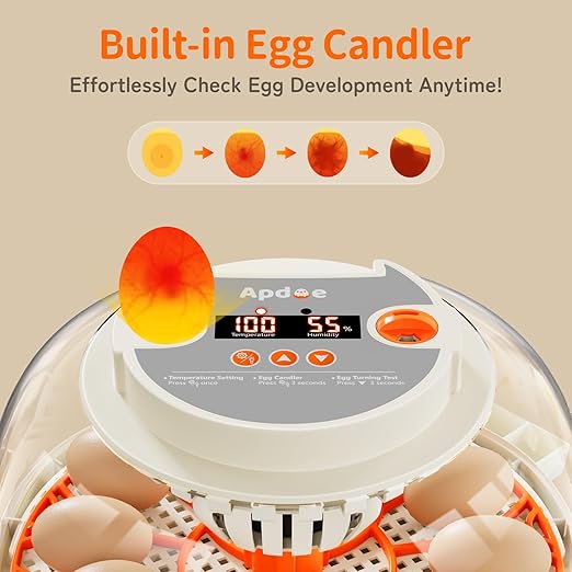 APDOE Egg Incubators for Hatching Eggs, Temperature and Humidity Control, Automatic Egg Turning, Egg Candler, External Water Bottle, Air Vent, for Chicken, Duck & Quail Eggs, 12 Eggs