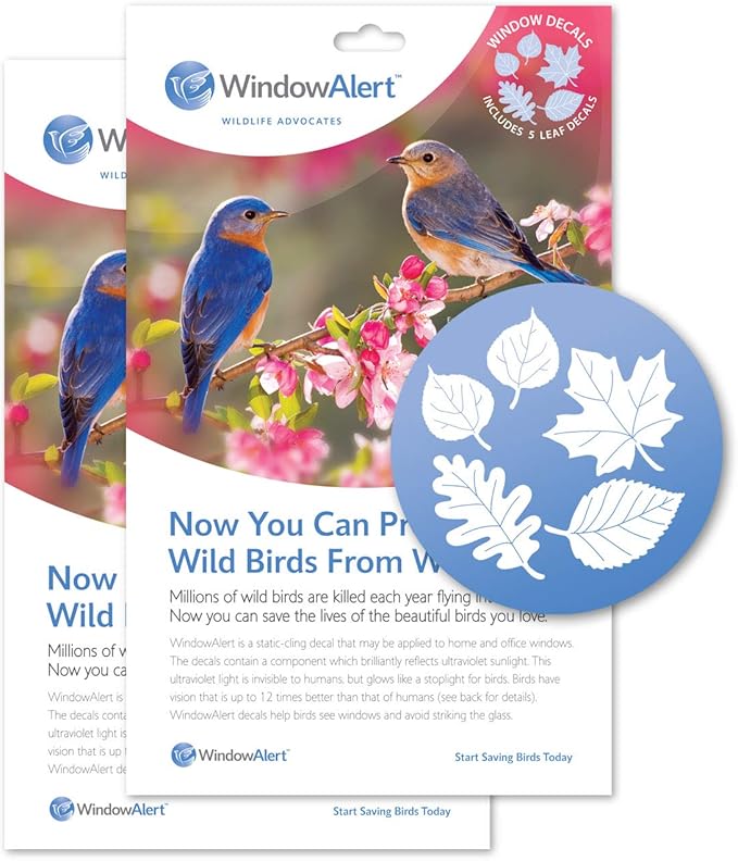WindowAlert Leaf Medley Anti-Collision Decal - UV-Reflective Window Decal to Protect Wild Birds from Glass Collisions 2-Pack - Made in The USA