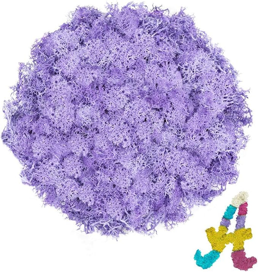 Preserved Reindeer Moss 3.5 OZ Light Purple Natural for Crafts, DIY Gift Christmas Decor, Wall Art, Potted Plants, Fake Moss for Easter Table Decor Wedding Decorative(3.5 OZ, Light Purple)