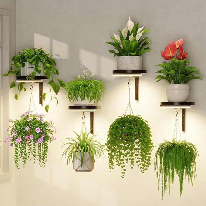 LASZOLA Plant Hangers Shelves Wall Mounted Indoor with Grow Lights, Metal Window Plant Holders, 4Pcs Modern Floating Flower Display Stand with 4 Hooks for Outdoor Kitchen Bathroom Decor, Black