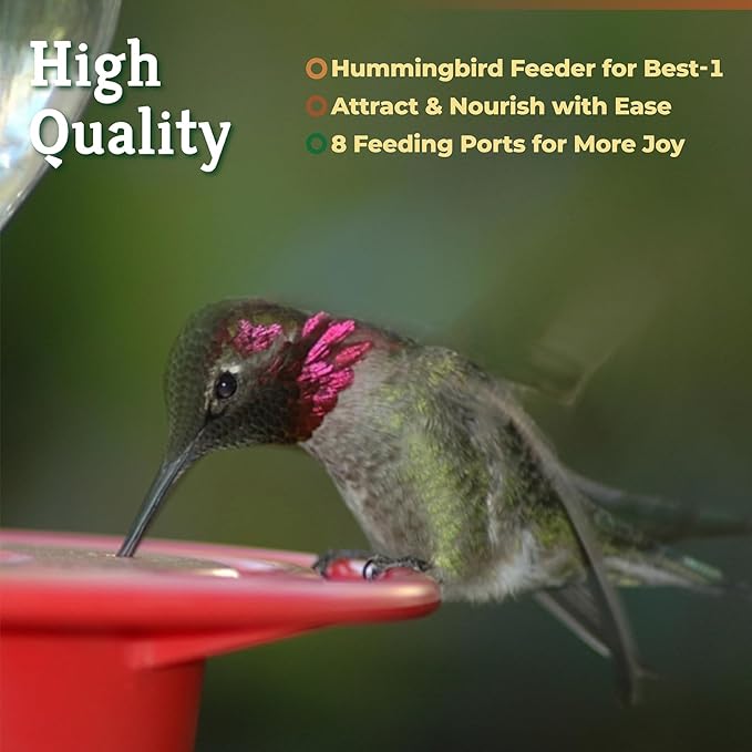 Hummingbird Feeder Replacement Base Compatible with Best-1 Hummingbird Feeders Replacement Bottom Plastic Outdoors Feeder Bottom 8-Port Water Feeder Parts, 2 Pack