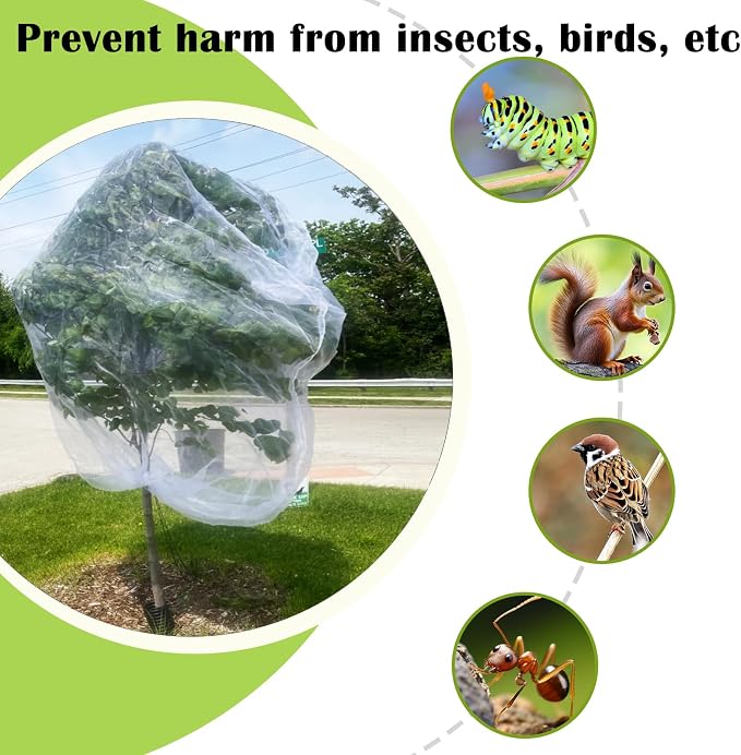 15'x15' Large Fruit Tree Netting with Zipper - 2PC Protects Fruit from Squirrels, Birds & Pests, Heavy-Duty Tree Covers for Fruit Trees (White)