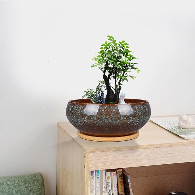 8 Inch Ceramic Bonsai Planter Pot, Glazed Shallow Succulent Planter with Drainage Hole and Bamboo Saucer for Indoor Plants, Green