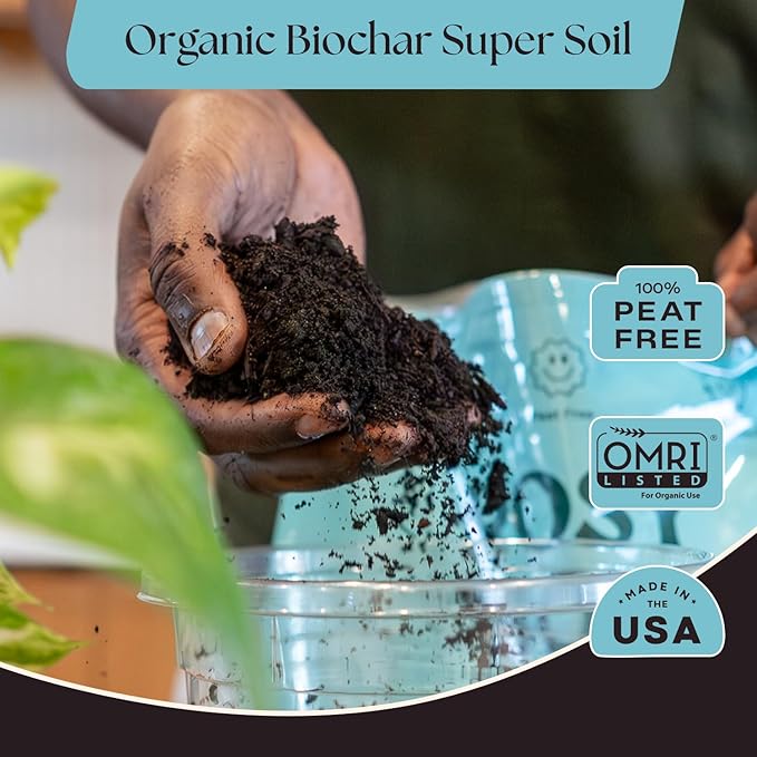 Rosy Soil Indoor Potting Soil for House Plants, 2 x 8 qrt - Organic Potting Soil Mix for Indoor Plants -Enriched w/Root-Boosting Biochar for Foliage Plants, Flowers, Herbs - Pack of 2