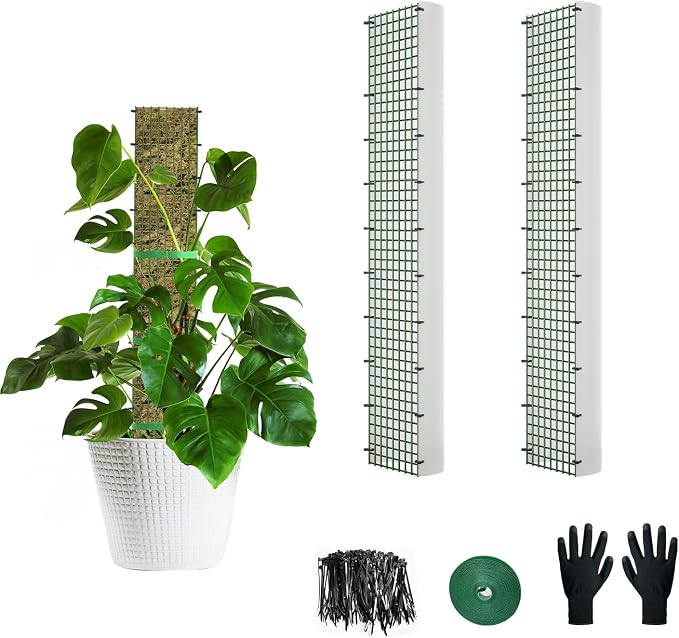 24" Metal Moss Pole, D Shape Sphagnum Moss Pole, Moss Poles for Climbing Plants, Monstera, Indoor Climbing Plants (2Pcs 24")