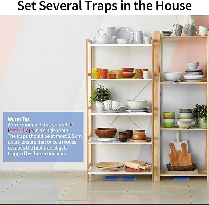 LULUCATCH Mouse & Insect Traps 36 Pack, Heavier Sticky Traps with Non-Toxic Glue for Small Mice & Insects. Sticky Mouse Traps Indoor, Easy to Set, Pet Safe Pest Control