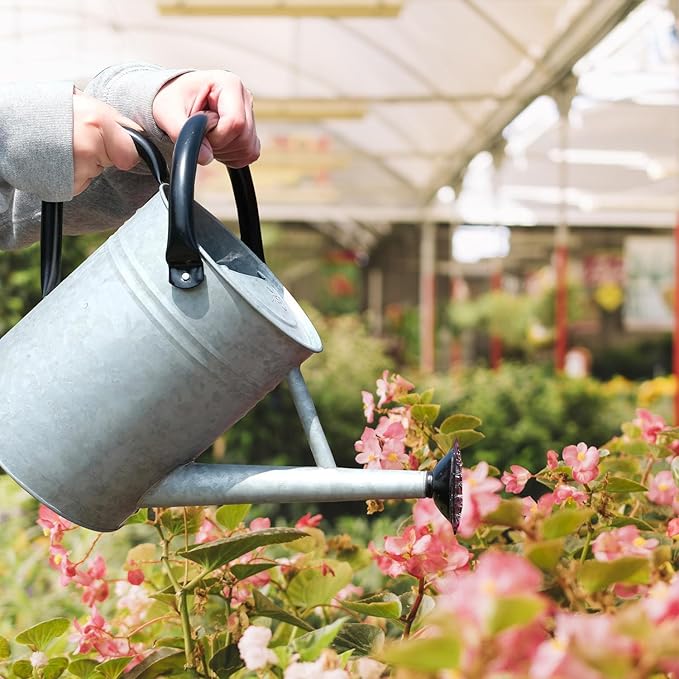 Metal Watering Can 1 Gallon with Removable Spout, Ideal Plant Watering Can for Indoor and Outdoor Plants (One Gallon Silver Black)