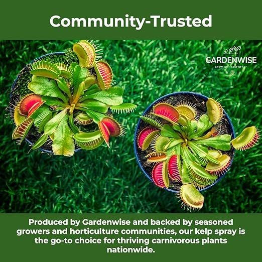 GARDENWISE 100% Organic Marina Mist Carnivorous Plant Food | Liquid Kelp Foliar Spray for Plants - Kelp Fertilizer for Venus Flytraps, Sundew, Butterworts, Pitcher Plants 8 Oz