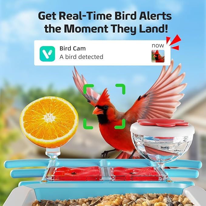 Bird Feeder with Camera 2K HD AI Smart Identify BirdSpecies Solar Panel Outdoors Birdhouse with Cam, Instant Arrival Alerts, Capture BirdVideo, Gifts for Mom Dad