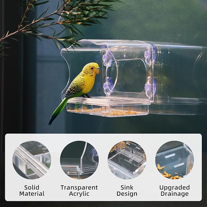 Window Bird Feeder with Strong Suction Cups - Clear Acrylic Bird Feeders for Outdoor Use, Easy-to-Clean Viewing Box for Cats and Birdwatching, Large Capacity, Curved Design for All-Weather Durability