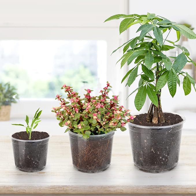 OUPSAUI 28 Pack 4/5/6/7 Inch Clear Nursery Pots for Plants with Drainage Holes, Clear Plastic Seedling Flower Plant Pot Insert, Seed Starter Pots