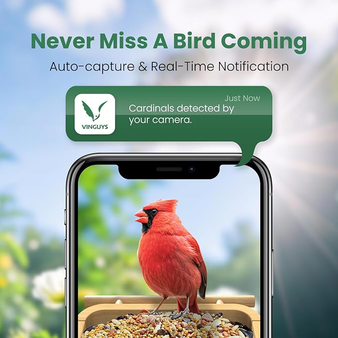 Smart Bamboo Bird Feeder with Camera | 2.5K UHD AI Identification, Real-time Videos & Pictures, Wireless Solar Powered, Outdoor, Ideal for Garden Birding